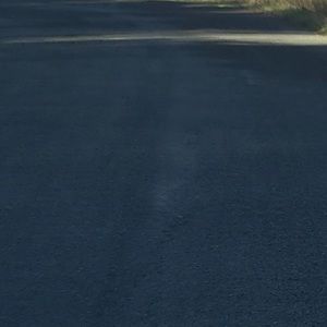 Meet your Posher, Isaiah